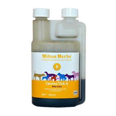 Canine tick x after care - Hilton herbs