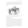 Livre: "Cerveau equin / cerveau humain, neurosciences et interactions homme-cheval" - VIGOT